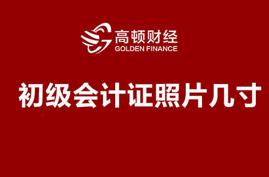 2019年初级会计证上传照片是几寸