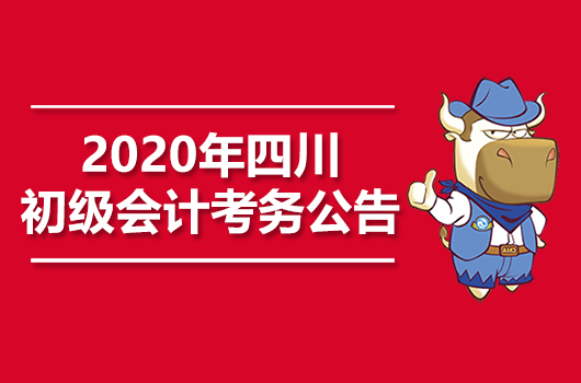 2020年四川初级会计职称考务公告